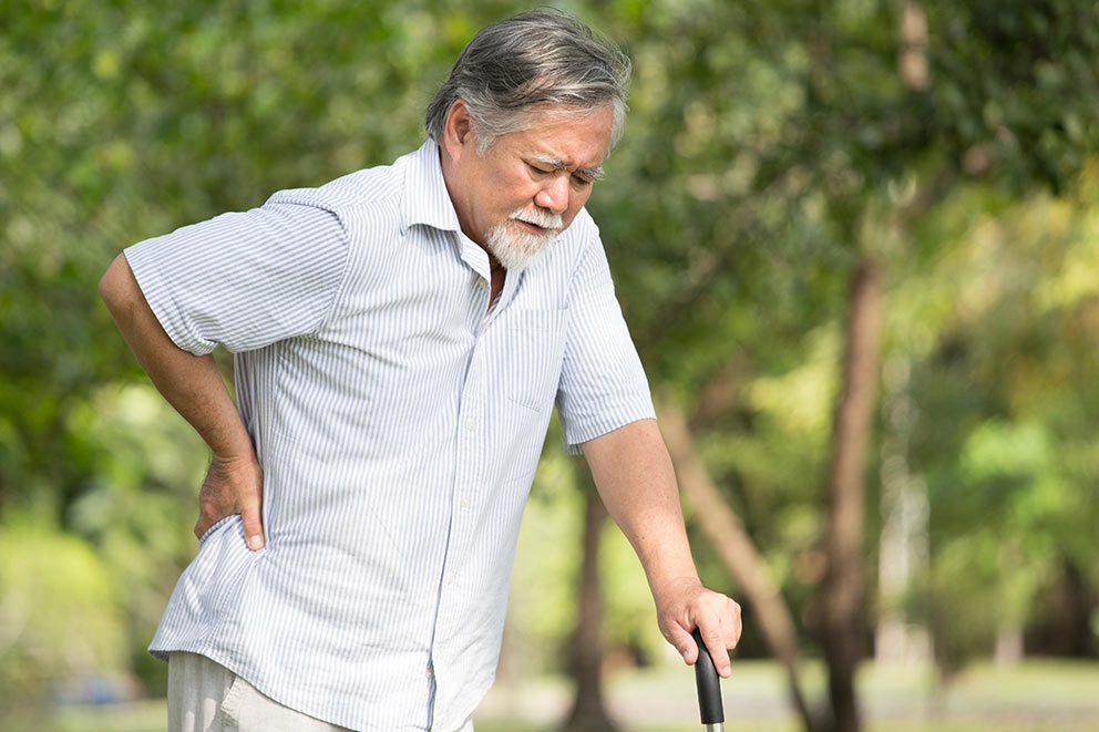 Everything You Need To Know About Osteoporosis